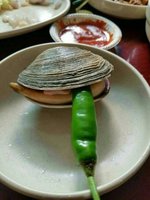 조개사냥